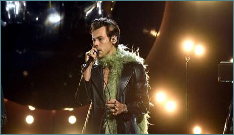 Is Harry Styles Vegan?